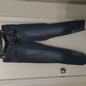 Torrid Jeans